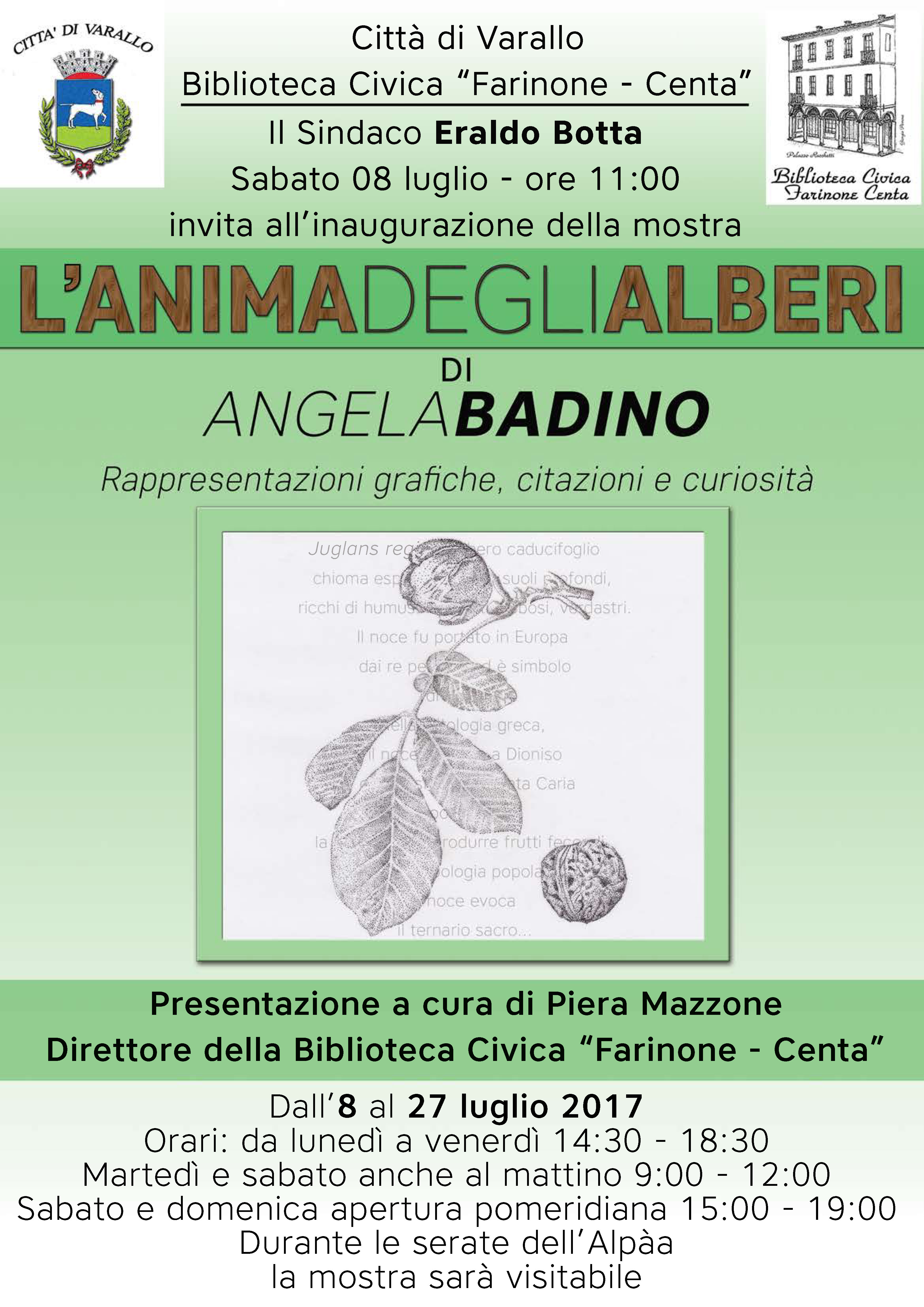 “L’anima degli Alberi”: una nuova mostra in Biblioteca creata da Angela Badino